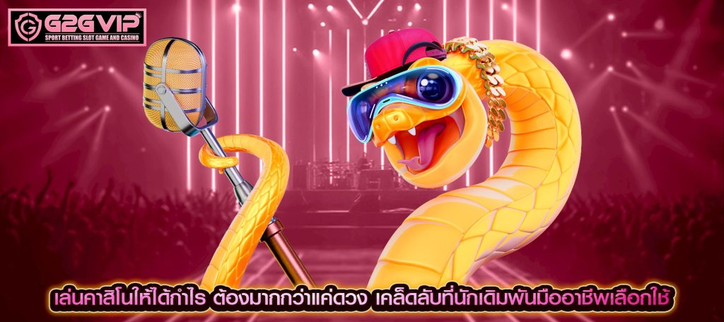 เล่นคาสิโนให้ได้กำไร ต้องมากกว่าแค่ดวง เคล็ดลับที่นักเดิมพันมืออาชีพเลือกใช้